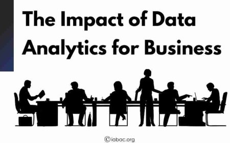 The Impact of Data Analytics for Business