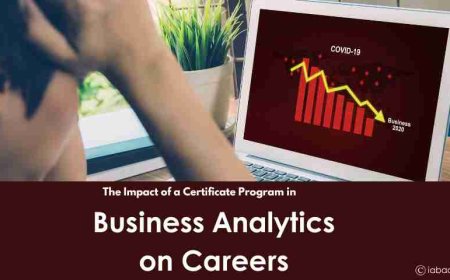The Impact of a Certificate Program in Business Analytics on Careers