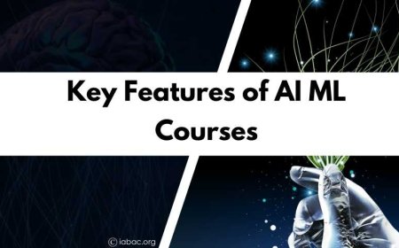 Key Features of AI ML Courses