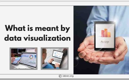 What is meant by data visualization