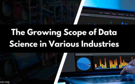 The Growing Scope of Data Science in Various Industries