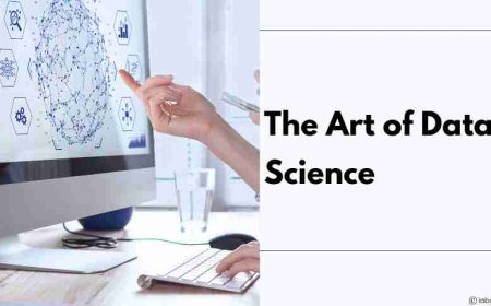 The Art of Data Science