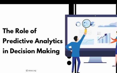 The Role of Predictive Analytics in Decision Making