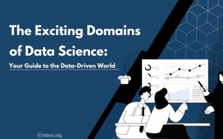 The Exciting Domains of Data Science: Your Guide to the Data-Driven World
