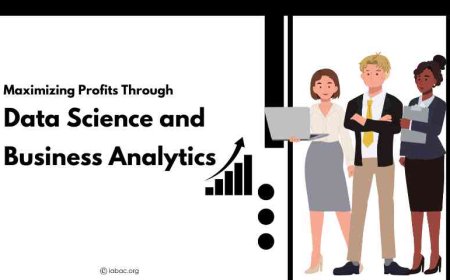 Maximizing Profits Through Data Science and Business Analytics