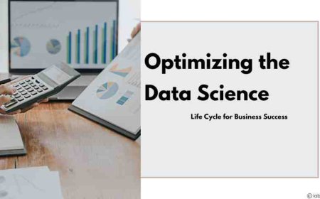 Optimizing the Data Science Life Cycle for Business Success