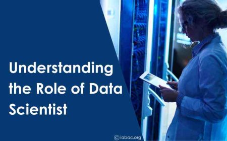 Understanding the Role of Data Scientist