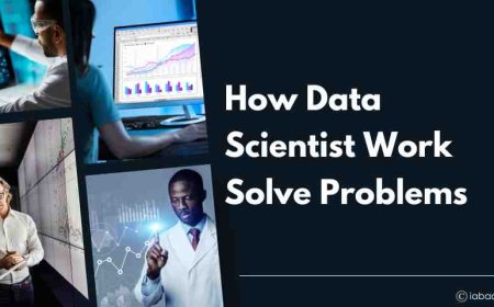 How Data Scientist Work Solve Problems