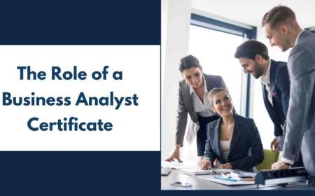 The Role of a Business Analyst Certificate