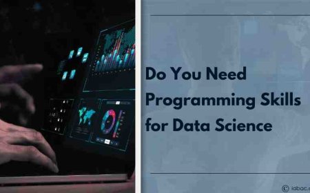 Do You Need Programming Skills for Data Science