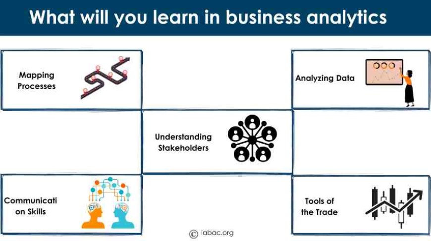 What will you learn in business analytics