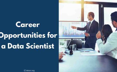 Career Opportunities for a Data Scientist