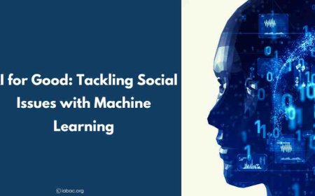 AI for Good: Tackling Social Issues with Machine Learning