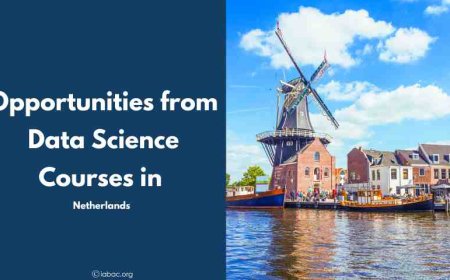 Opportunities from Data Science Courses in Netherlands