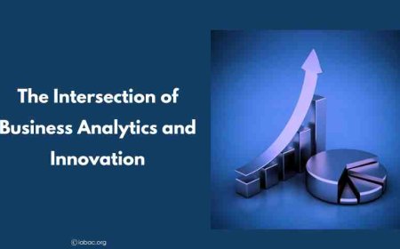 The Intersection of Business Analytics and Innovation