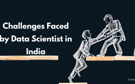 Challenges Faced by Data Scientists in India