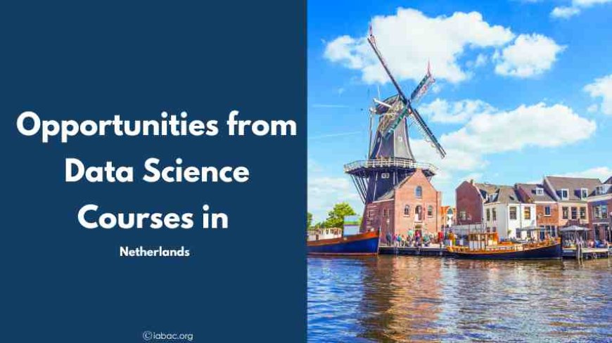 Opportunities from Data Science Courses in Netherlands