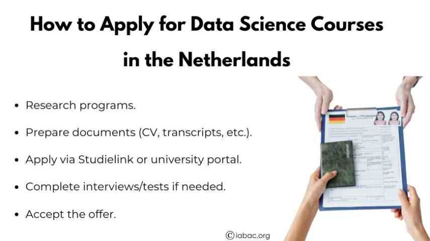 How to Apply for Data Science Courses in the Netherlands