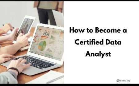 How to Become a Certified Data Analyst