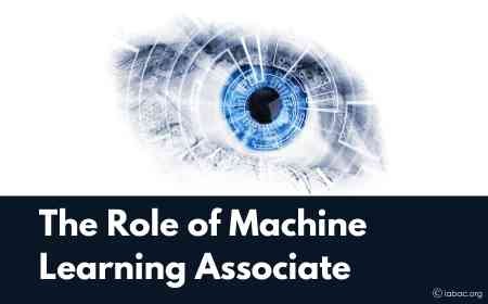 The Role of Machine Learning Associate