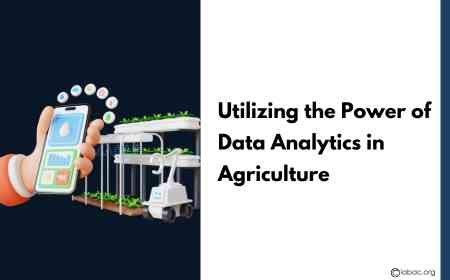 Utilizing the Power of Data Analytics in Agriculture