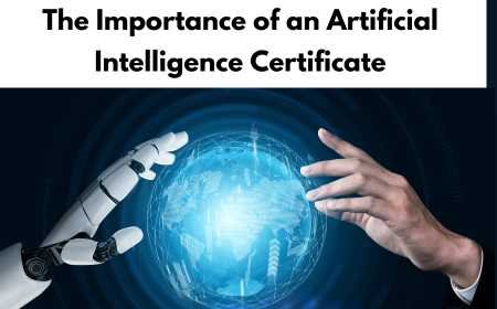 The Importance of an Artificial Intelligence Certificate