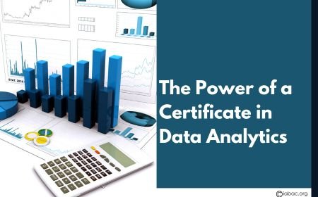 The Power of a Certificate in Data Analytics