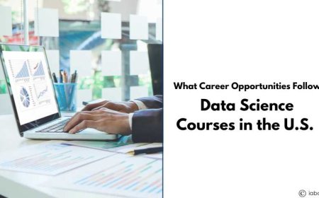 What Career Opportunities Follow Data Science Courses in the U.S