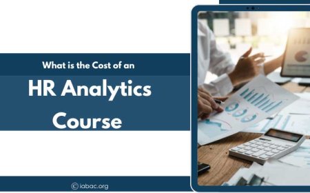 What is the Cost of an HR Analytics Course In India