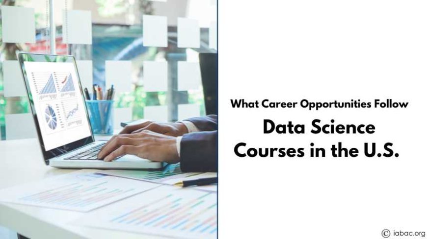 What Career Opportunities Follow Data Science Courses in the U.S
