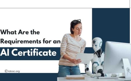 What Are the Requirements for an AI Certificate