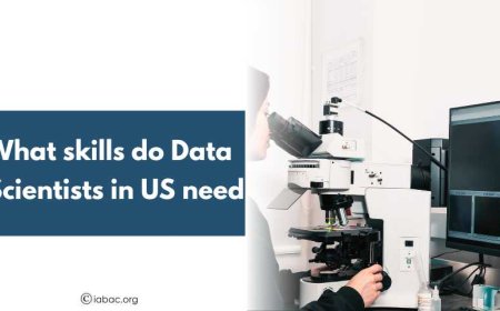 What skills do Data Scientists in US need?