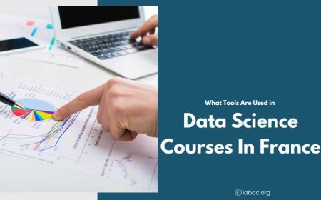 What tools are used in data science courses in France