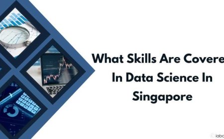 What skills are covered in data science in Singapore