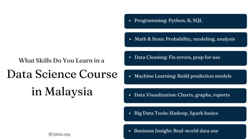 What Skills Do You Learn in a Data Science Course in Malaysia?