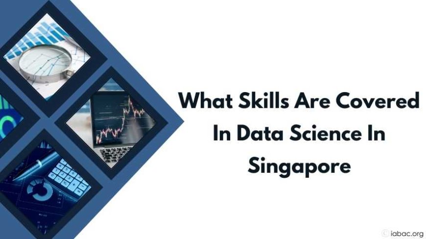 What skills are covered in data science in Singapore