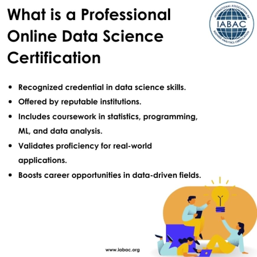What is Professional Online Data Science Certification 