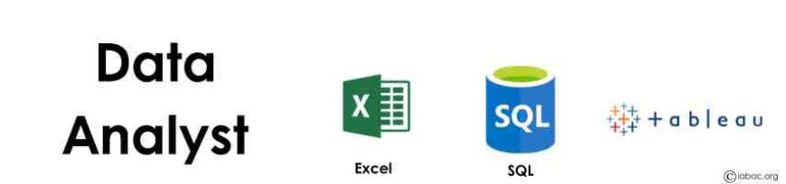 Data Analyst