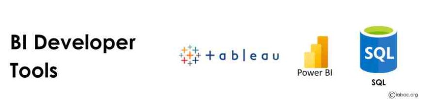 BI Developer