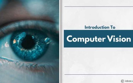 Introduction to Computer Vision