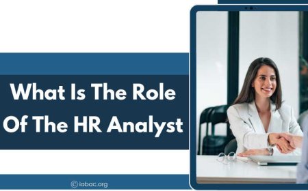 What Is the Role of the HR Analyst