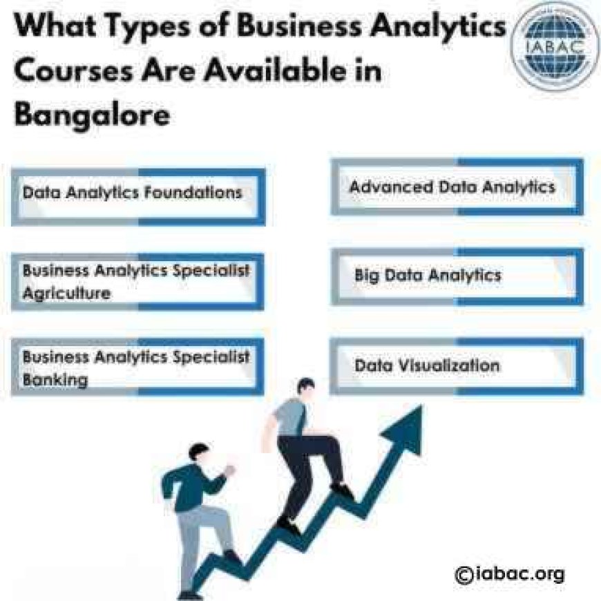 What Types of Business Analytics Courses are Available in Bangalore