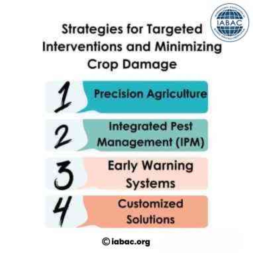 Strategies for Targeted Interventions and Minimizing Crop Damage
