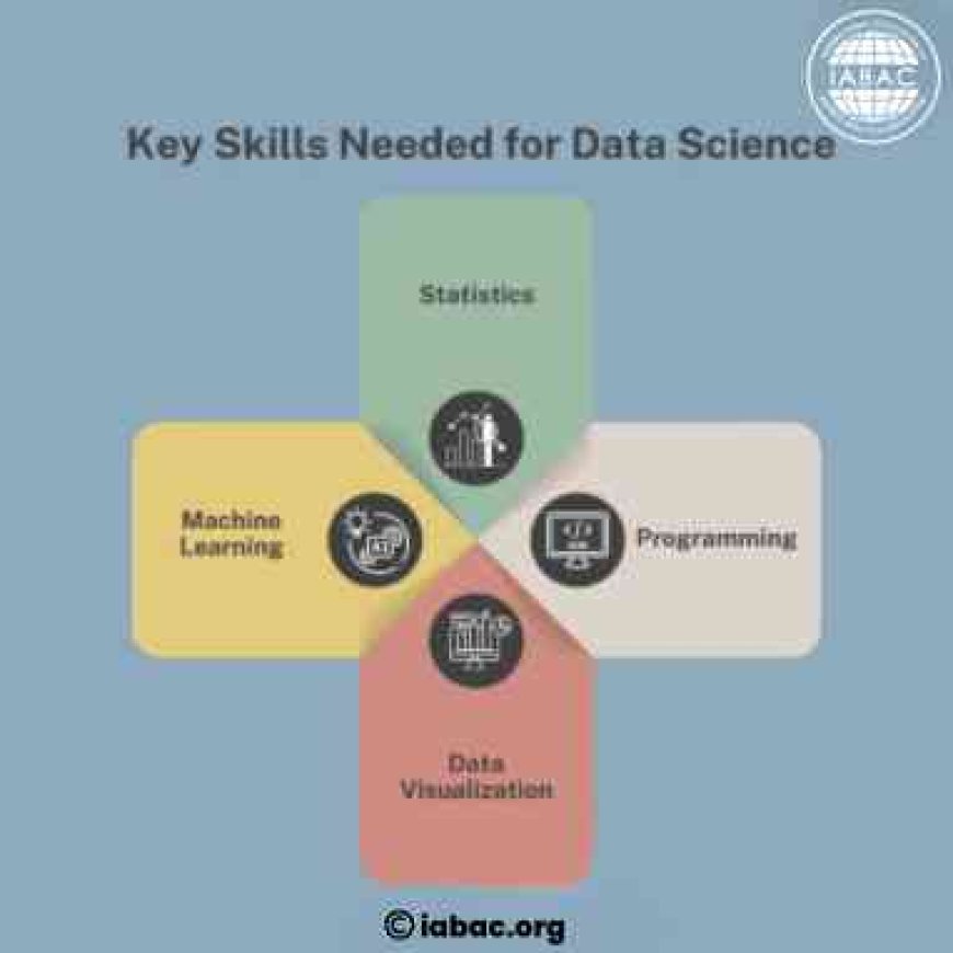 Key Skills Needed for Data Science