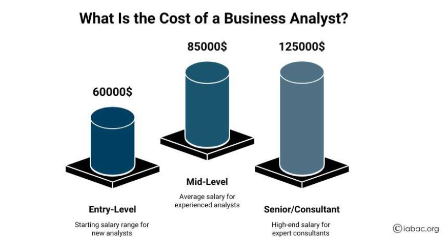 What Is the Cost of a Business Analyst