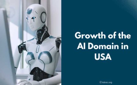 Growth of the AI Domain in USA