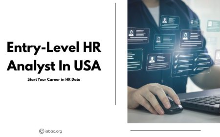 Entry-Level HR Analyst in USA: Start Your Career in HR Data