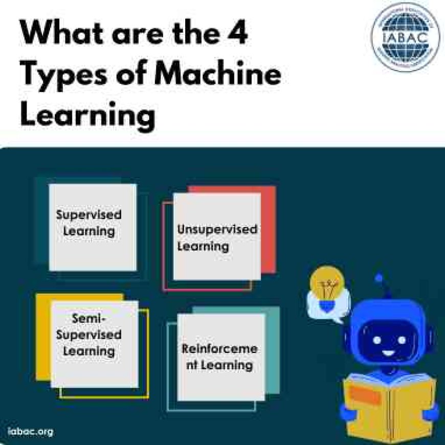 What are the 4 types of machine learning