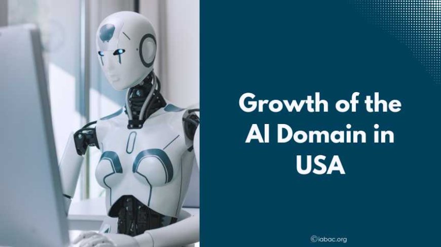 Growth of the AI Domain in USA