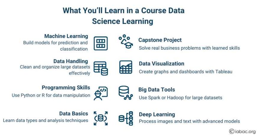 What You&rsquo;ll Learn in a Course Data Science Learning